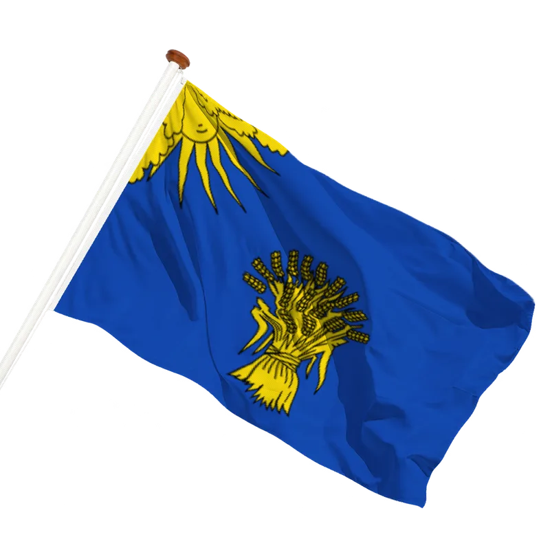 Vlag van Reusel-De Mierden
