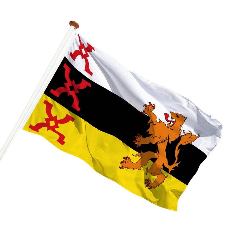 Vlag van Someren