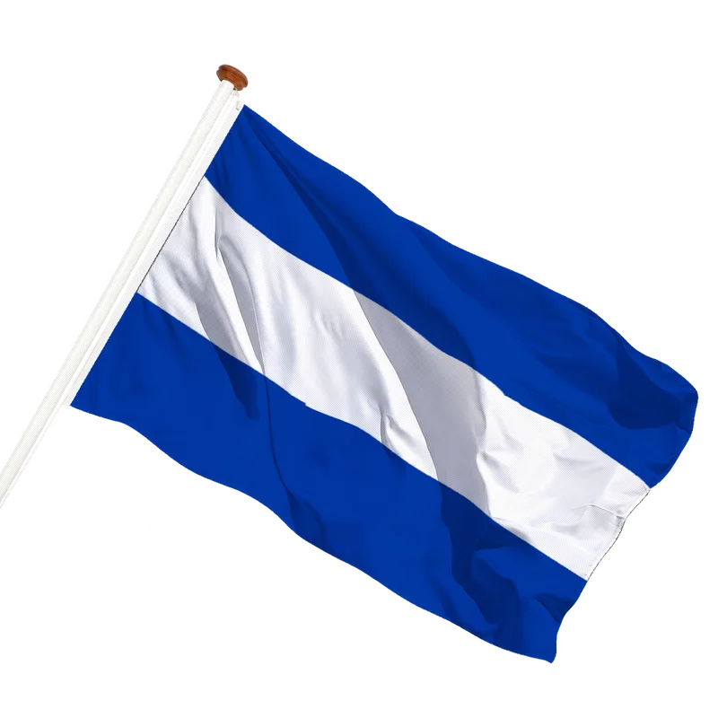 Vlag van Almelo