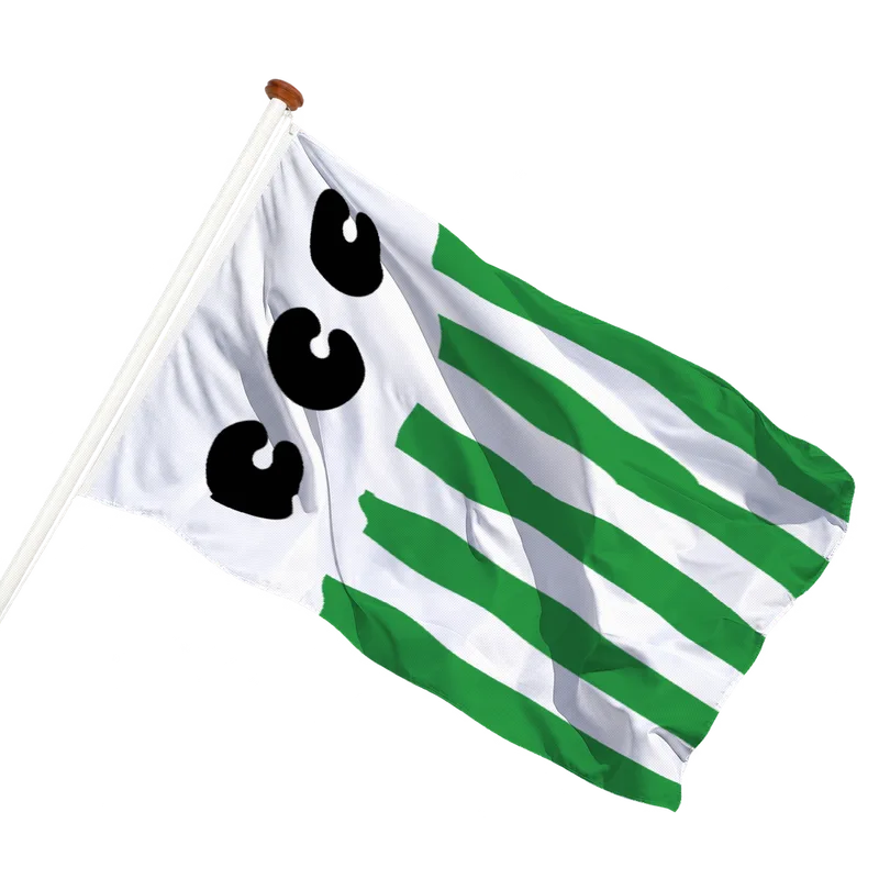 Vlag van Bloemendaal
