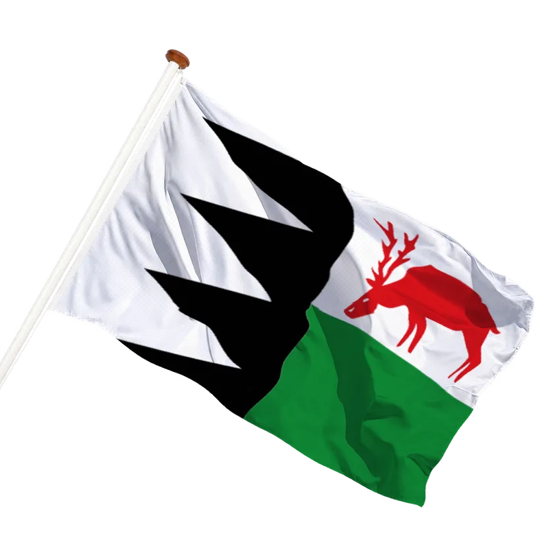 Vlag van Bruinisse