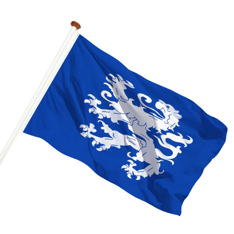 Vlag van Heemskerk