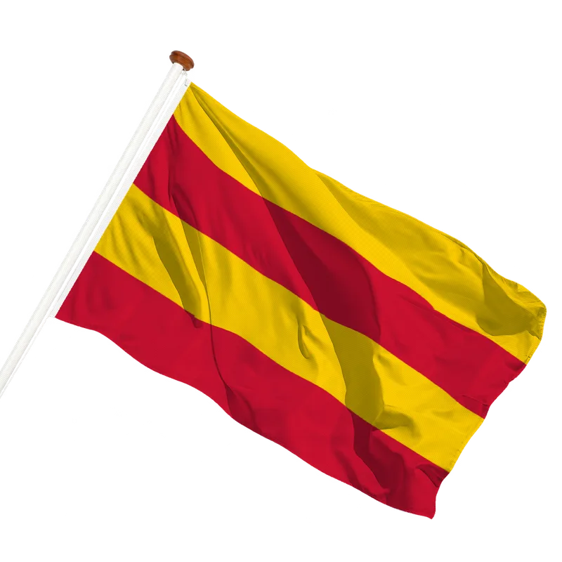 Vlag van Heemstede