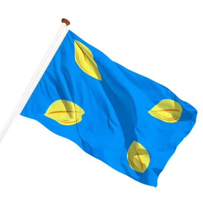 Transparant achtergrond