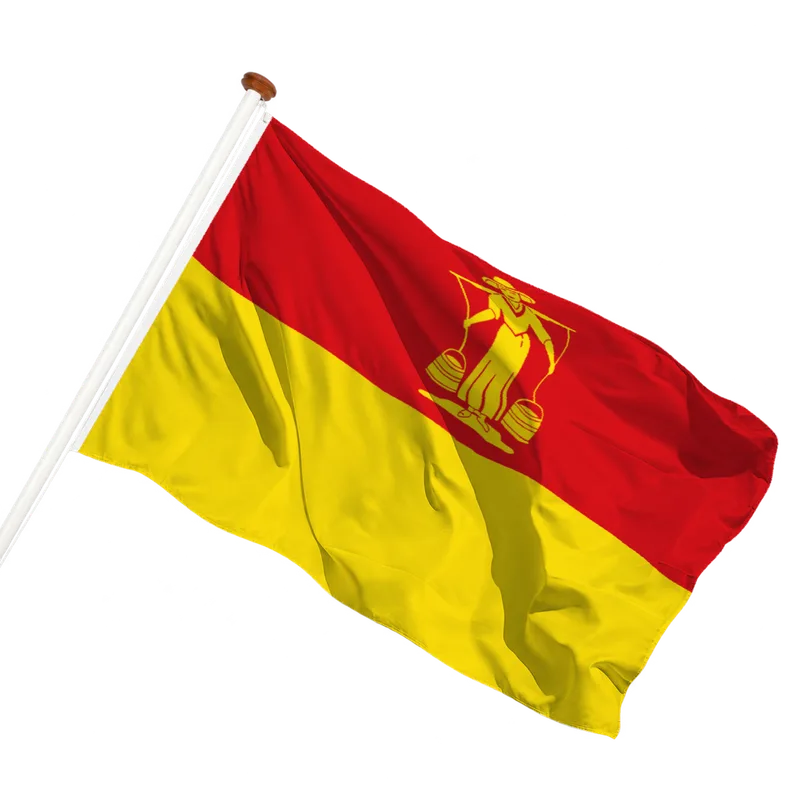 Vlag van Huizen