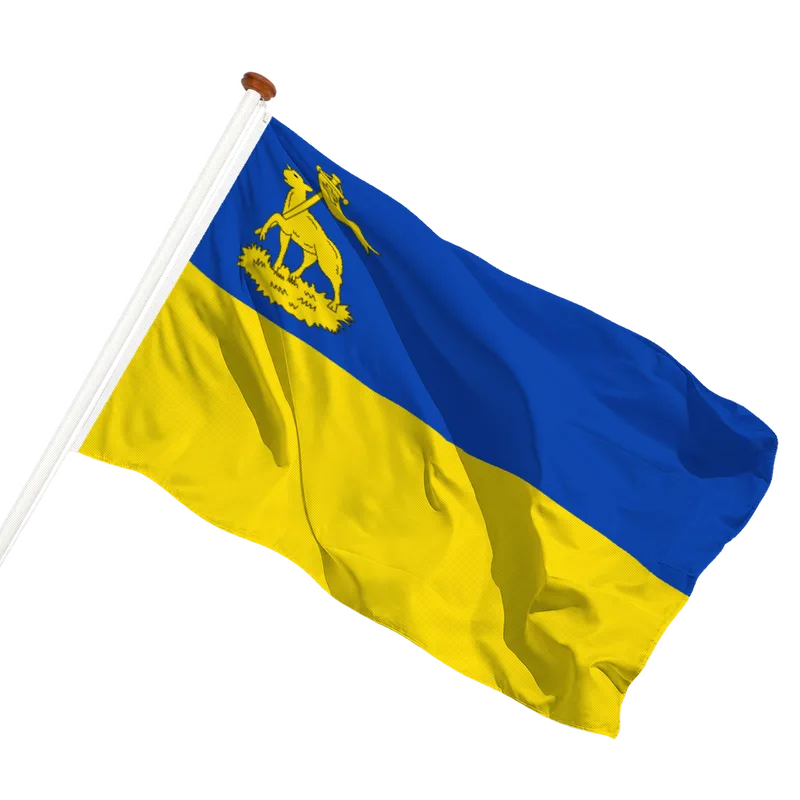Vlag van Velsen