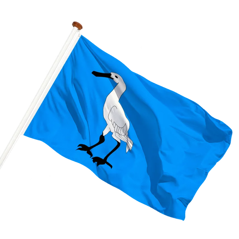 Vlag van Wormerland