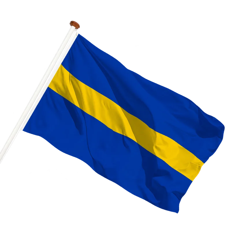 Vlag van Borne
