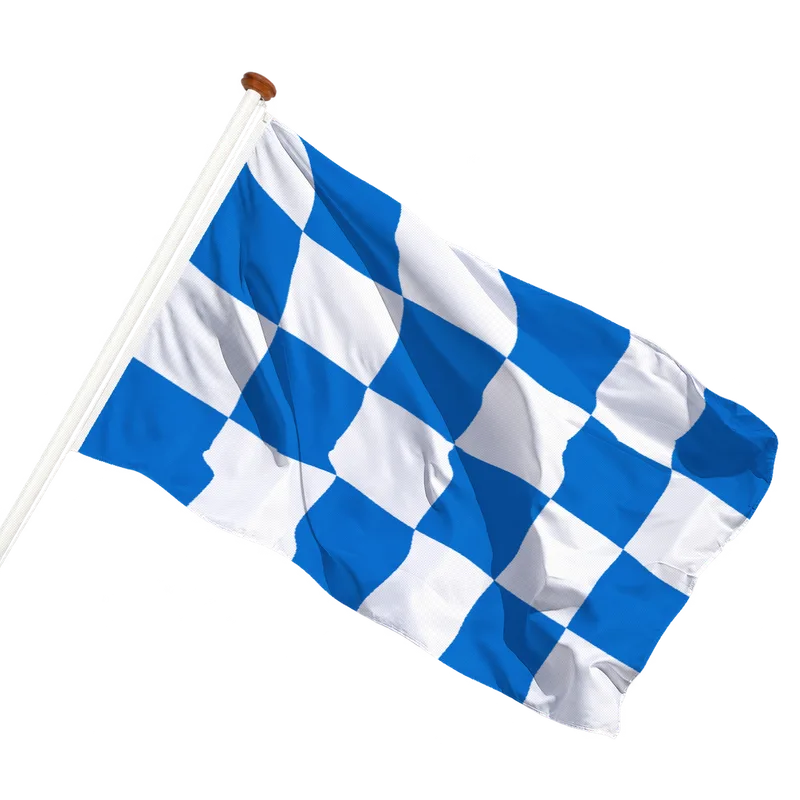 Vlag van Dalfsen